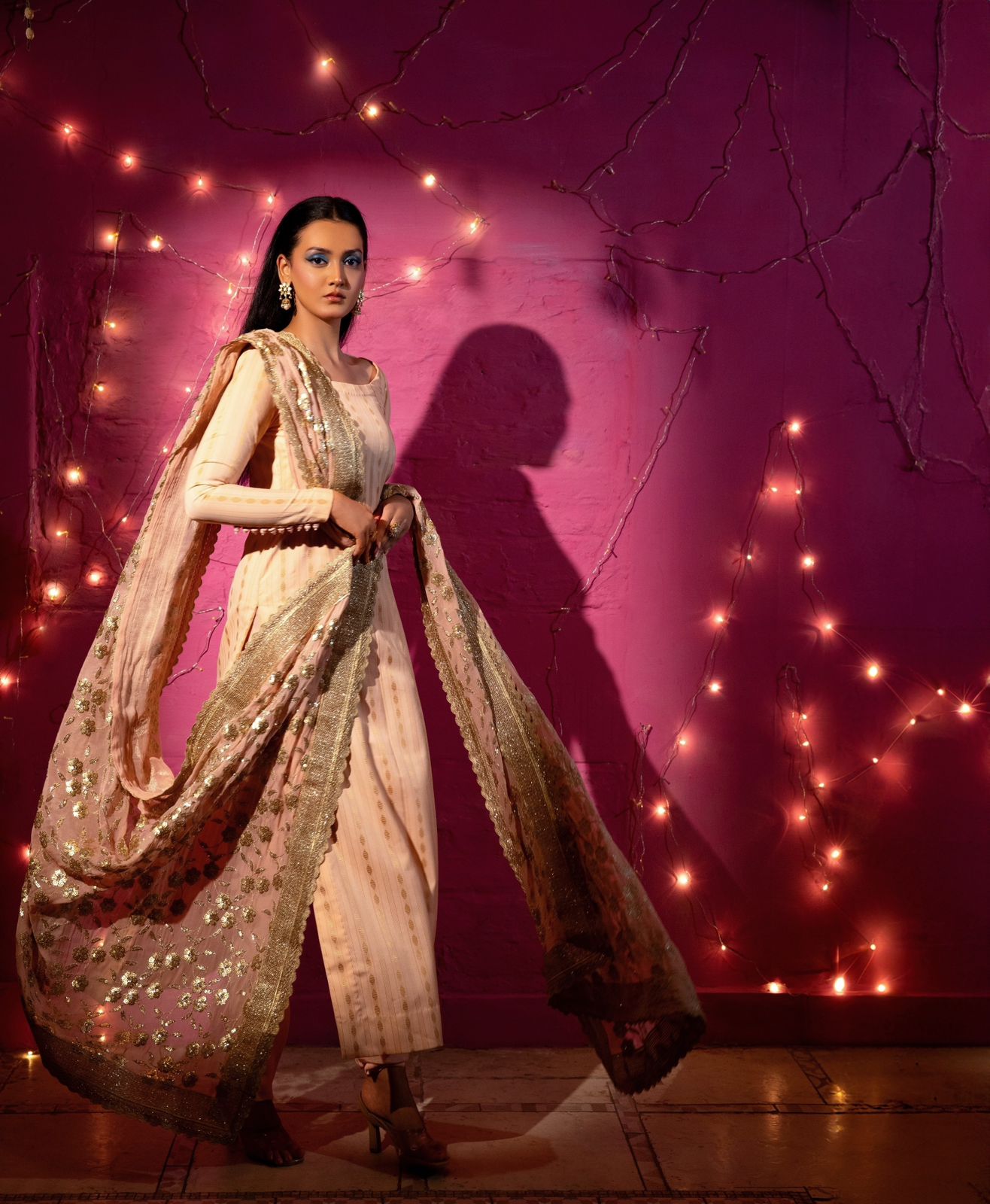 SITARA (Only Dupatta)